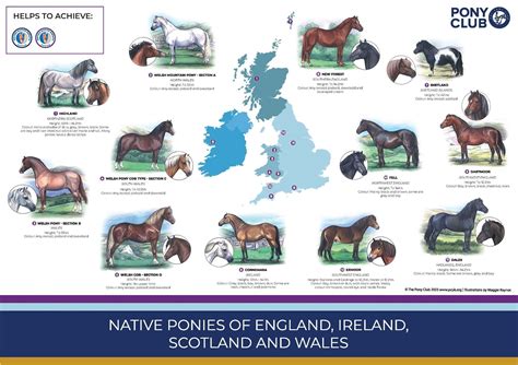 pony club portal.